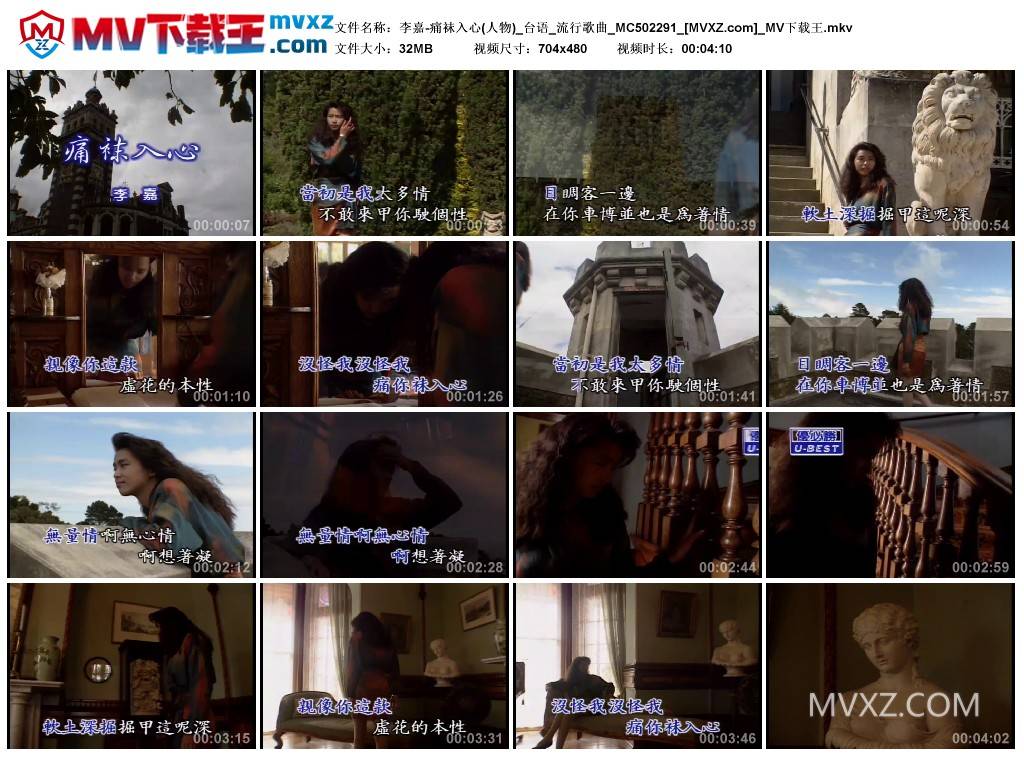 李嘉-痛袜入心(人物)_台语_流行歌曲_MC502291